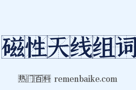 磁性天线组词是什么意思的图片